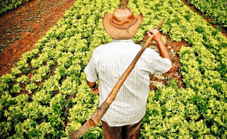 Você sabe o que é a Taxa do Agro aprovada em Goiás Entenda Folha Z