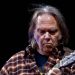 O rock e folk de Neil Young será executado pela banda In Vitro