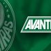 "O bem mais valioso que a Sociedade Esportiva Palmeiras tem e sempre terá é a sua torcida", diz o site oficial do clube (Foto: Divulgação)