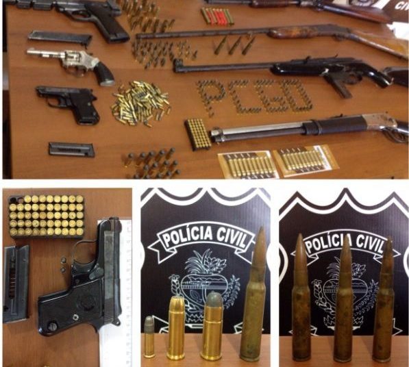 Armas apreendidas na propriedade do suspeito (Foto: Divulgação/Polícia Civil)