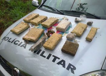 Droga apreendida pela Polícia Militar (Foto: Divulgação/PM)