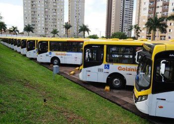 Novos ônibus estarão em circulação a partir de segunda-feira (4) / Foto: SECOM Goiânia