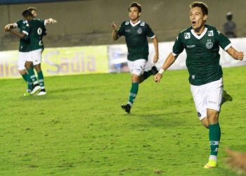 Jogadores comemoram gol marcado contra o time paraense (Foto: Site Goiás)