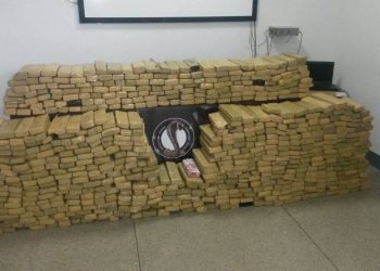 Mais de 600 kg de maconha apreendido (Foto: Divulgação Polícia Civil)