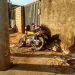 Adolescente infrator morre ao colidir moto em um poste| Foto: Divulgação/Polícia Civil
