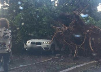 Chuva forte provoca queda de árvore sobre carro| Foto: Reprodução