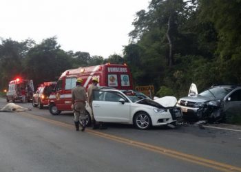 Rapaz morre após colidir carro que dirigia em uma vaca na GO-330, em Ipameri| Foto: Reprodução/Corpo de Bombeiros