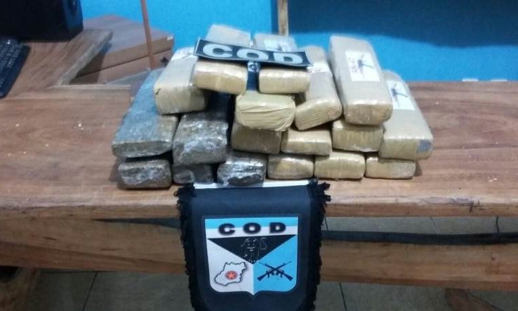 Tabletes de maconha foram encontrados com passageiro | Foto: Divulgação/PM