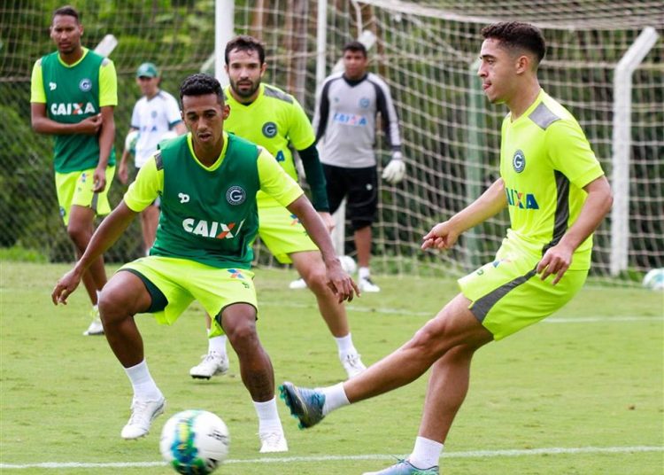 David tem 34 anos e vai vestir a camisa do Santa Cruz em 2017 | Foto: Rosiron Rodrigues/Goiás E.C