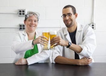 Será possível estudar fabricação de cerveja na UEG | Foto: Reprodução