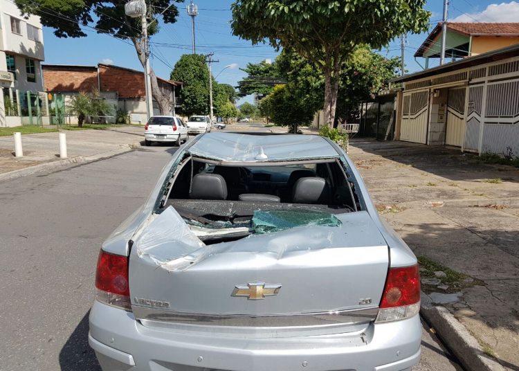Veículo ficou destruído após queda de árvore no Jardim América | Foto: Guilherme Coelho