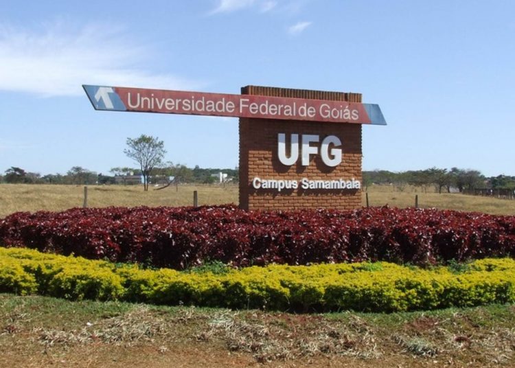 Servidores da UFG estão insatisfeitos com cortes no adicional de insalubridade | Foto: divulgação