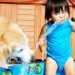 Especialista explica como melhorar o convívio entre pets e crianças | Foto: Reprodução