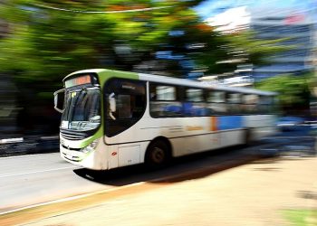 Ônibus circulando em Goiânia | Foto: Divulgação
