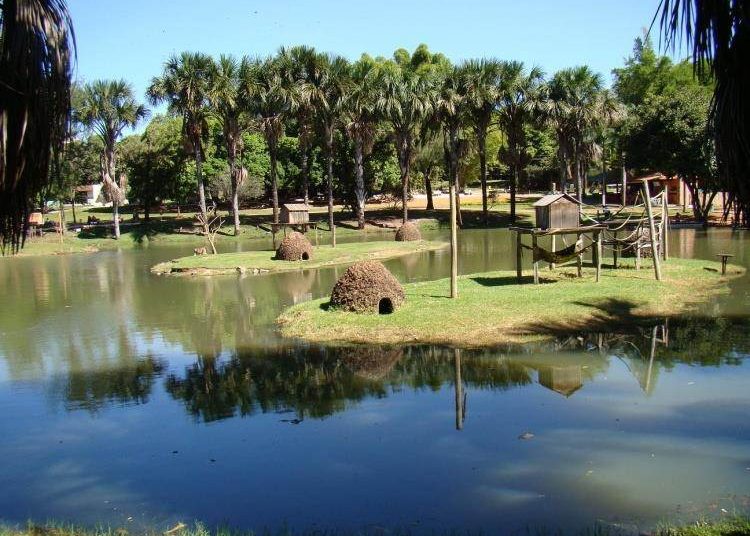 Zoológico de Goiânia estará aberto das 8h às 17h | Foto: Divulgação