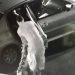 Vídeo mostra ação de homem que furtou dálmata no meio da rua em Goiânia | Foto: Reprodução/ Câmera de Segurança