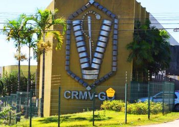 Concurso do CRMV-GO em Goiânia para nível médio tem salário de R$ 4 mil | Foto: Divulgação