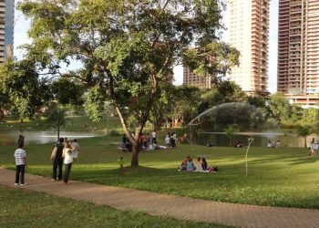 Vereador pede que Prefeitura de Goiânia coloque alambrado em parques | Foto: Reprodução