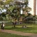 Vereador pede que Prefeitura de Goiânia coloque alambrado em parques | Foto: Reprodução