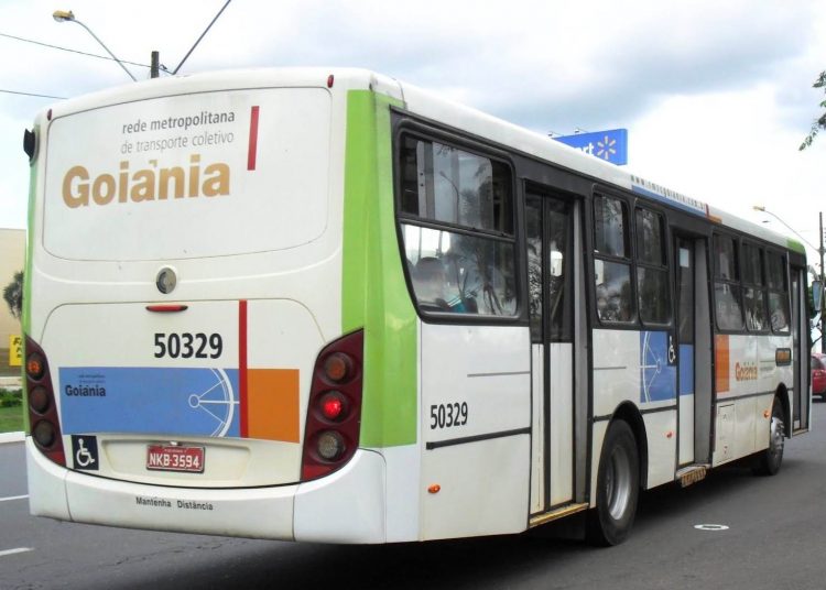 Homem recupera R$ 700 que perdeu em ônibus em Goiânia | Foto: Reprodução