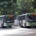 Vereador alega que a redução no preço do diesel também deve ser repassada para a tarifa de ônibus na capital | Foto: reprodução