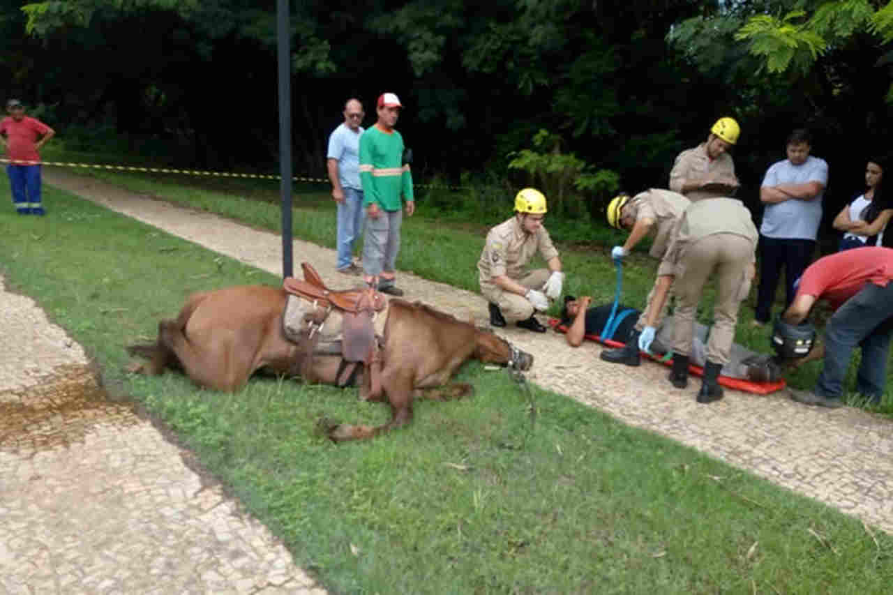 Homem é multado por manter cavalo preso em árvore e sem água em