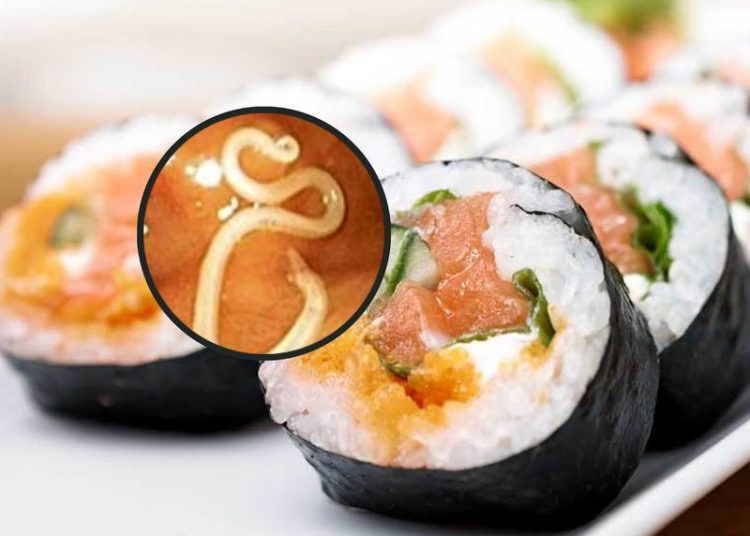 Baseada em peixe cru, comida japonesa pode ser perigosa para a saúde caso cuidados básicos não sejam tomados | Foto: Reprodução