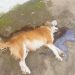 Vereador leva família de cachorro morto a pedradas em Goiânia à Dema | Foto: Reprodução