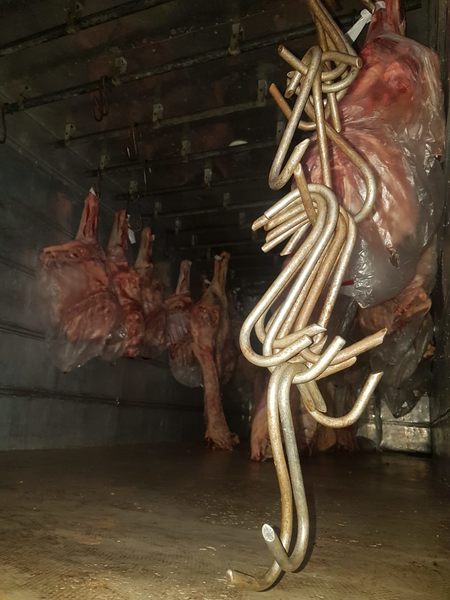 Carne podre e com documentação fraudada é apreendida em Goiânia - carne apreendida goiania 2