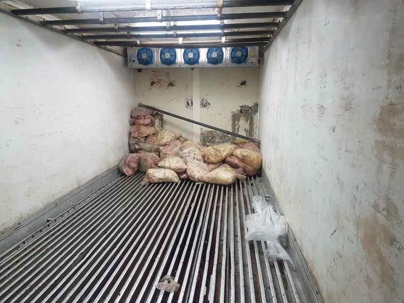 Carne podre e com documentação fraudada é apreendida em Goiânia - carne apreendida goiania 3