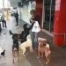 Vídeo que mostra morador de rua alimentando cachorros em Goiânia já tem mais de 7 milhões de visualizações no Facebook do Folha Z | Foto: Reprodução