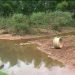 Sistema de captação do Ribeirão Laje é um dos que preocupa em relação à falta de água em Aparecida | Foto: Divulgação