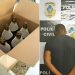 Homem é preso suspeito de falsificar e vender Cachaça Bananinha na capital e Aparecida | Fotos: Divulgação / PC
