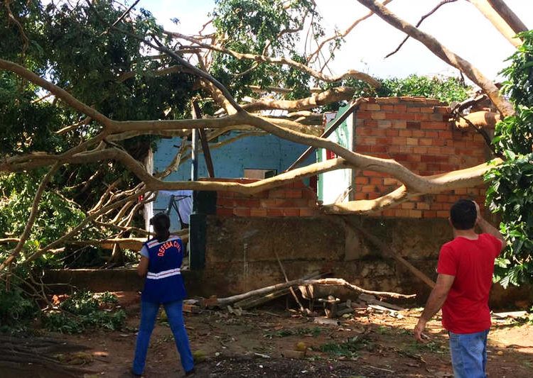 Cinco casas são interditadas pela Defesa Civil após chuva em Aparecida de Goiânia | Foto: Divulgação / Defesa Civil