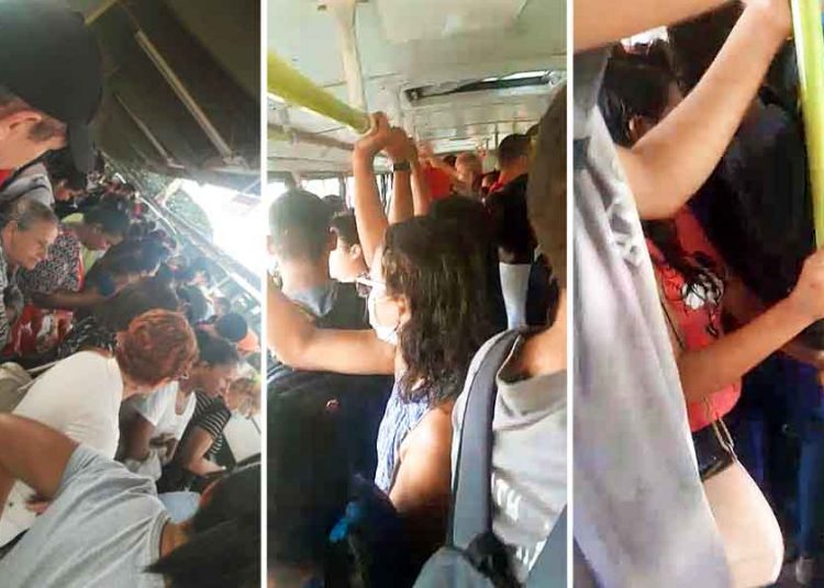 Usuários denunciam lotação em ônibus da Grande Goiânia durante estado de emergência do coronavírus | Fotos: Leitor / FZ