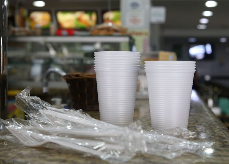 Câmara aprovou PL que proíbe o fornecimento de produtos de plástico em Aparecida | Foto: Fotos Públicas