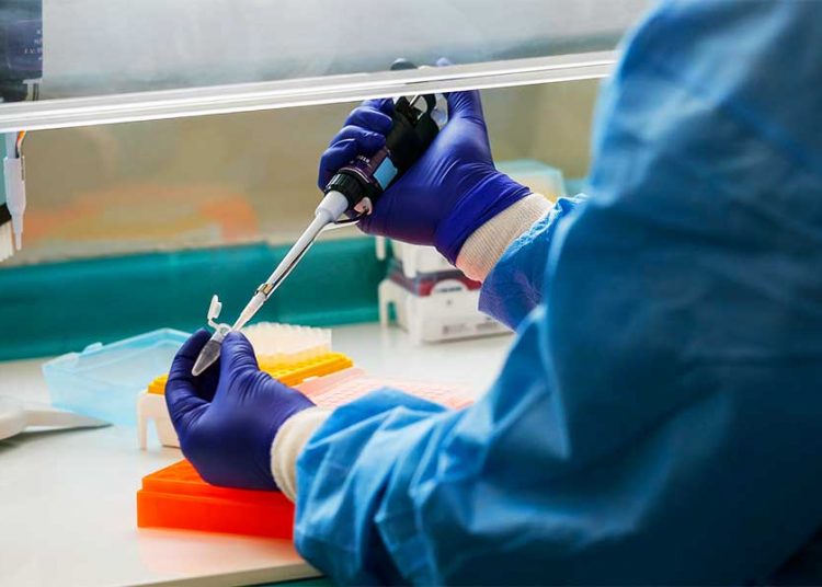 Planos de saúde divulgam agendamento de coleta a domicílio para teste de coronavírus | Fotos: Alejandra De Lucca V. / Minsal 2020