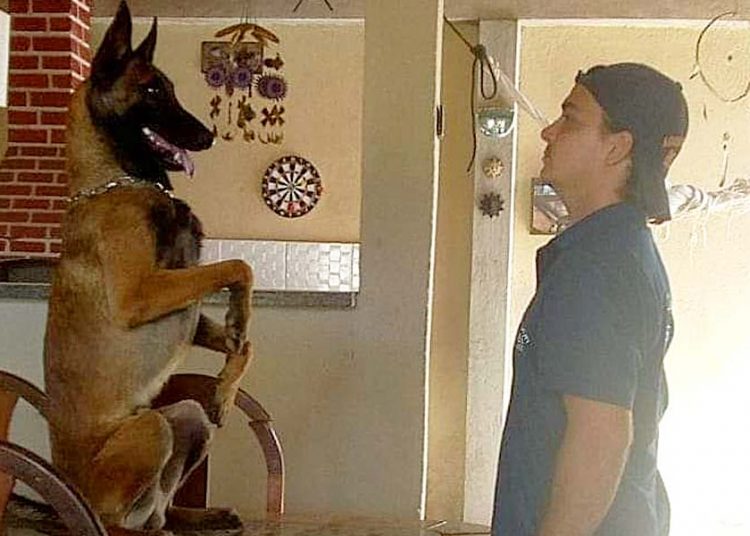 Alexandre Silva fala sobre a arte de adestrar um cachorro | Foto: Arquivo Pessoal