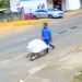 Homem foi filmado carregando cadáver em carrinho de mão no Veiga Jardim | Foto: Reprodução