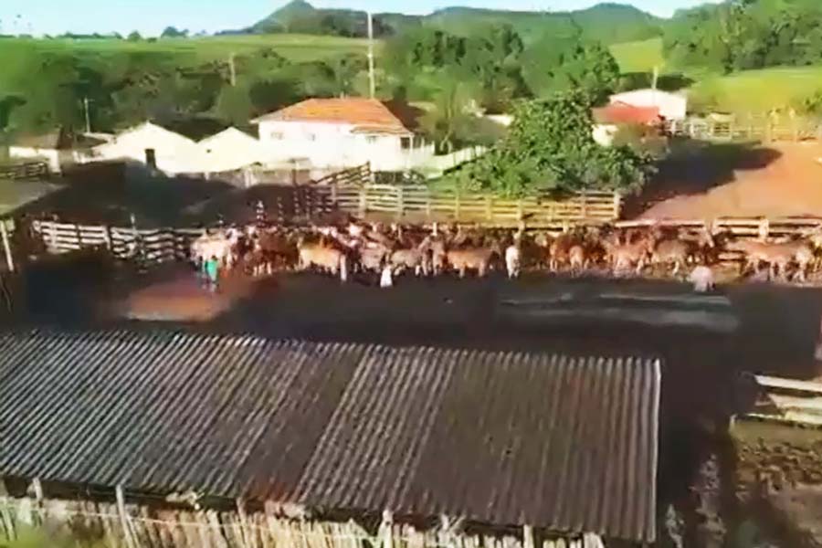 Entre 50 fazendas compradas pela Afipe, propriedade em Caiapônia custou R$ 90 milhões | Foto: Reprodução