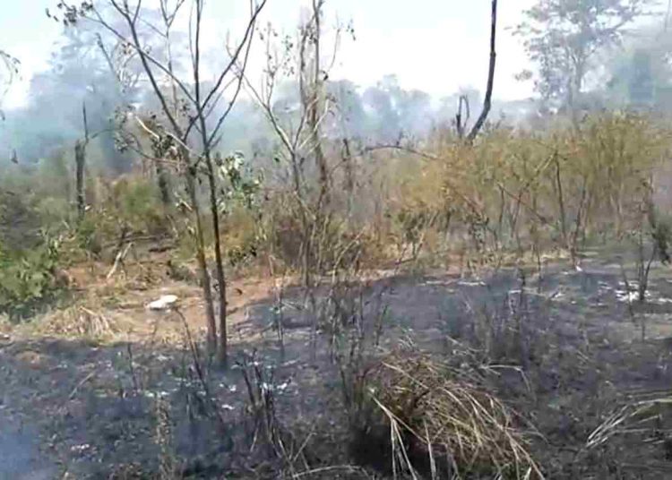 incêndio vegetação Tiradentes