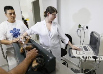 hopsital-veterinario-publico-prefeitura-goiania