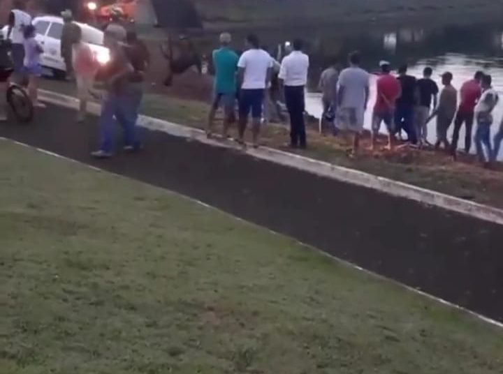 Cavalo é retirado de lago em Vicentinópolis após ser afogado por homem - Crédito: Reprodução