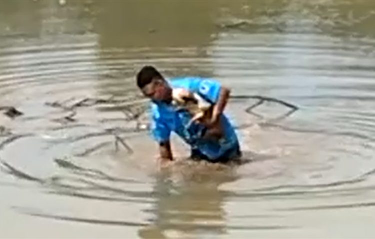 Homem teve de acalmar cadela para conseguir retira-la do lago - Créditos: Reprodução