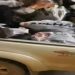 Novelos encontrados em carroceria de veículo em Anápolis - Foto: Reprodução