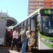 Transporte coletivo em Goiânia - Foto: Divulgação