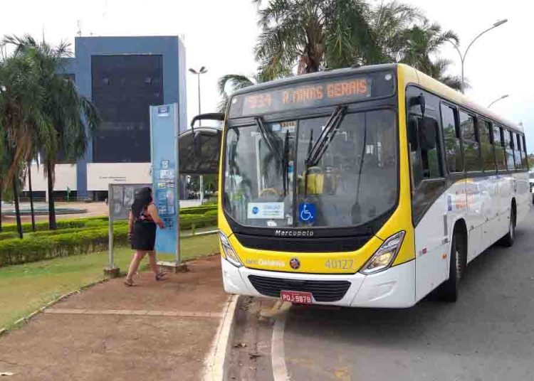 Ônibus podem transportar metade da capacidade - Foto: Reprodução