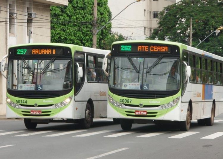 Ônibus em Goiânia | Foto: Reprodução