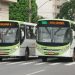 Ônibus em Goiânia | Foto: Reprodução
