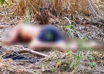 Vítima de latrocínio em Aparecida de Goiânia | Foto: Divulgação/PCGO